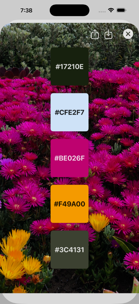 Color Extraction Interface